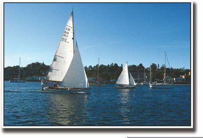 

Posterhouzz Boats with white sails Fine Art Print(12 inch X 18 inch, Rolled)