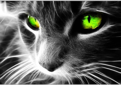 

Posterhouzz Green Cat's Eye Paper Print(12 inch X 18 inch, Rolled)