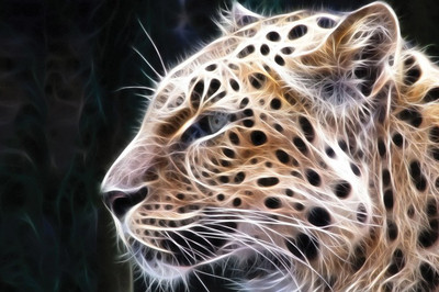 

Posterhouzz Fine Art Print(12 inch X 18 inch, Rolled)