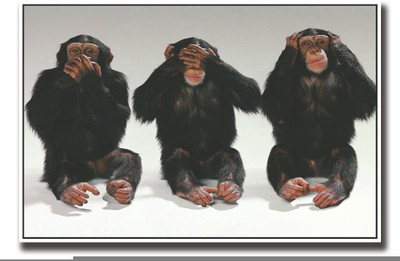 

Posterhouzz 3 Chimpanzee Fine Art Print(12 inch X 18 inch, Rolled)