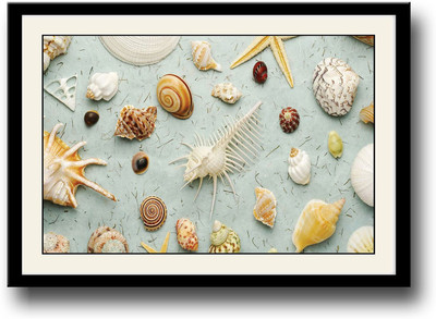 

Sea shells Fine Art Print(10 inch X 14 inch, Framed)
