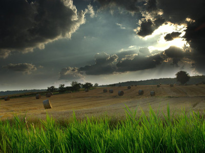 

Posterhouzz Scenery Fine Art Print Poster Fine Art Print(12 inch X 18 inch, Rolled)