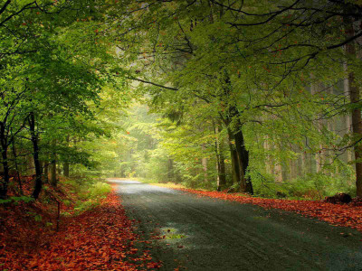

Posterhouzz Autumn Fine Art Print Poster Fine Art Print(12 inch X 18 inch, Rolled)