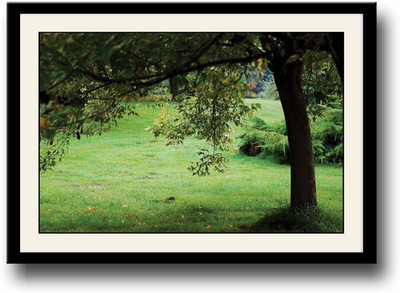 

Green Tree Fine Art Print(10 inch X 14 inch, Framed)