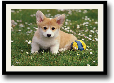 

Dog with ball Fine Art Print(10 inch X 14 inch, Framed)