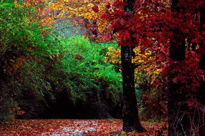 

Posterhouzz Fine Art Print(12 inch X 18 inch, Rolled)