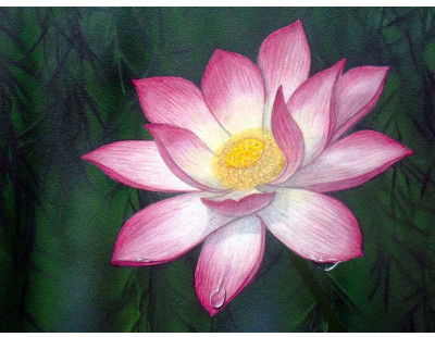

Breathing Flower - Medium Size Ready To Frame Rolled Digital Art Print On Photographic Paper(24 inch X 18 inch, Rolled)