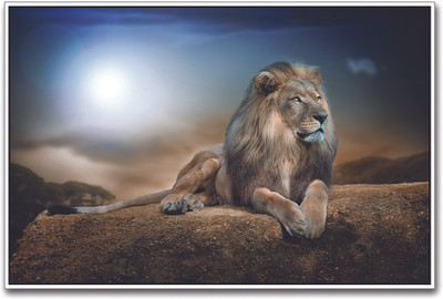 Lion Paper Print(12 inch X 18 inch)