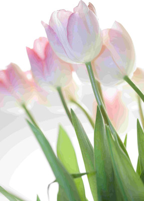 

Posterhouzz Flower Fine Art Print Poster Fine Art Print(18 inch X 12 inch, Rolled)