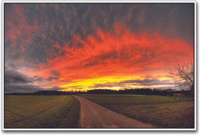 

Orange Sky and Road Paper Print(12 inch X 18 inch)