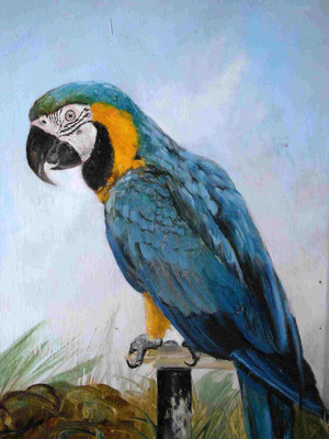 Posterhouzz Animal Fine Art Print Poster Fine Art Print(18 inch X 12 inch, Rolled)