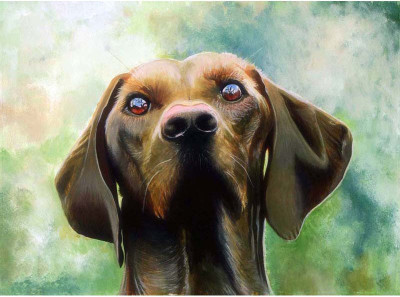 

Man's Lovely Pet - Medium Size Ready To Frame Rolled Digital Art Print On Photographic Paper(24 inch X 18 inch, Rolled)