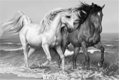 

Black n White Horse Photographic Paper(13 inch X 19 inch, Rolled)