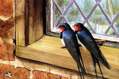 

Oshi - Beautiful Birds (7) Paper Print(12 inch X 18 inch, Stretched)