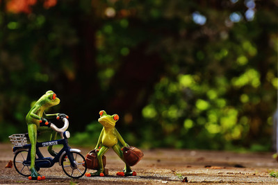 

poster of frog travel Fine Art Print(12 inch X 18 inch, Rolled)