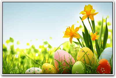 

Eggs Paper Print(12 inch X 18 inch)