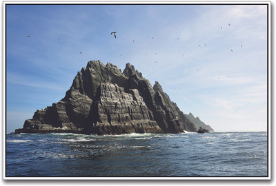 

Seagulls Over the Island Paper Print(12 inch X 18 inch)