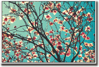 

Tree covered with beautiful flowers Fine Art Print(12 inch X 18 inch, Rolled)