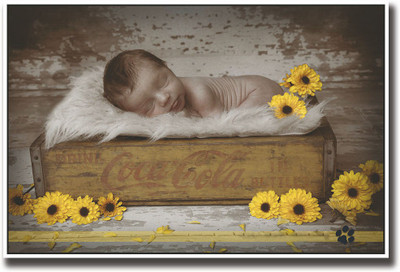 

Cute baby in coke crate Fine Art Print(12 inch X 18 inch, Rolled)