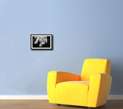 

White Tiger Crouching Fine Art Print(10 inch X 14 inch, Framed)