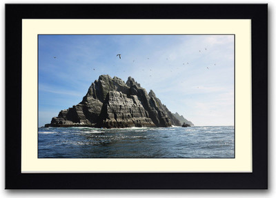 

Seagulls over the Island Fine Art Print(14 inch X 20 inch, Framed)