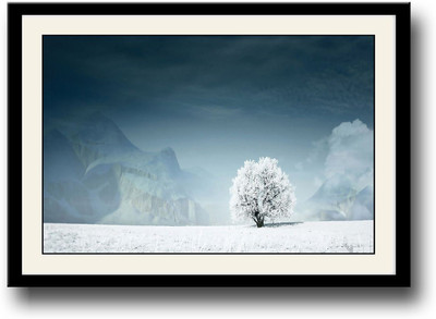 

Snow on Tree Fine Art Print(10 inch X 14 inch, Framed)