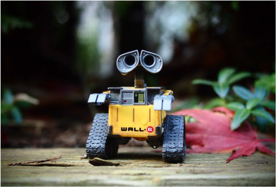 

Wall E Photographic Paper(13 inch X 19 inch, Rolled)