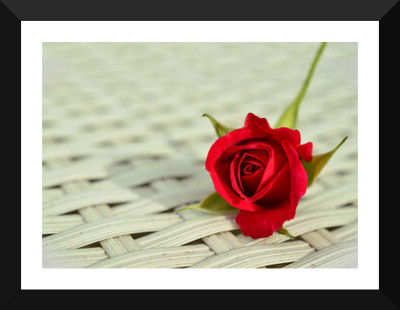 

Tallenge - Valentine’s Day Gift - Red Rose Flower - Premium Quality A3 Size Framed Poster Paper Print(17 inch X 12 inch, Framed)