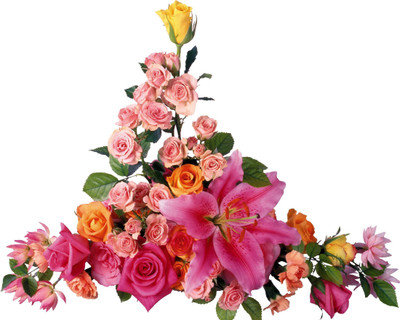 

Posterhouzz Flower Fine Art Print Poster Fine Art Print(12 inch X 18 inch, Rolled)