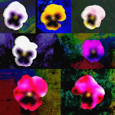 50% OFF on Colourful Flowers Canvas Art(44 inch X 44 inch)