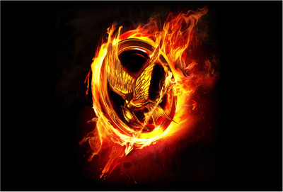 

Hunger Games Bird Fire H Photographic Paper(13 inch X 19 inch, Rolled)