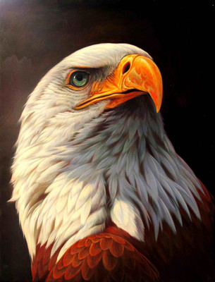 

Posterhouzz Animal Fine Art Print Poster Fine Art Print(18 inch X 12 inch, Rolled)