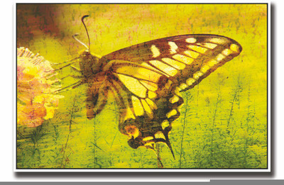

Posterhouzz Butterfly on flower art Fine Art Print(12 inch X 18 inch, Rolled)