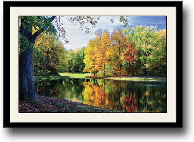 

Colorful trees Fine Art Print(10 inch X 14 inch, Framed)