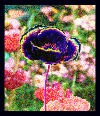 50% OFF on Poppies 04 Canvas Art(28 inch X 24 inch)