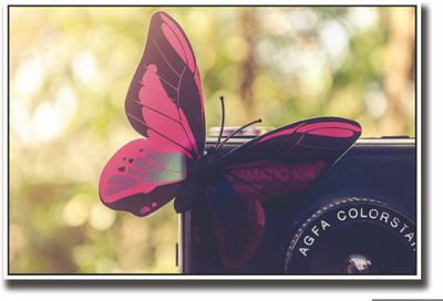 

Posterhouzz Butterfly on camera Fine Art Print(12 inch X 18 inch, Rolled)
