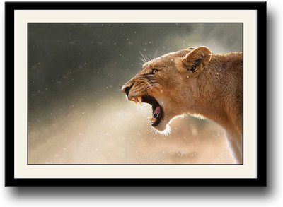 

Lioness Fine Art Print(10 inch X 14 inch, Framed)