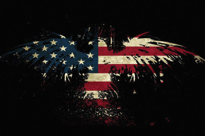 

USA Eagle Flag Paper Print(12 inch X 18 inch, Rolled)