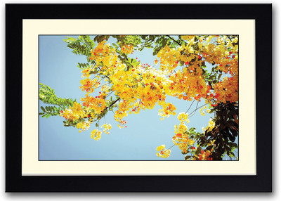 

Bright Yellow Flowers Fine Art Print(14 inch X 20 inch, Framed)