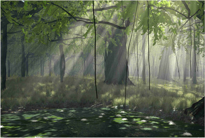 

Nature Paper Print(19 inch X 13 inch, Rolled)