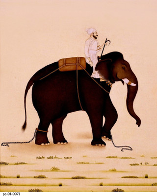 

Posterhouzz Poster - Elephant 23 Fine Art Print(18 inch X 12 inch, Rolled)
