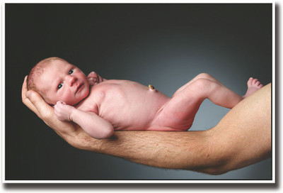 

Newborn baby on hand Fine Art Print(12 inch X 18 inch, Rolled)