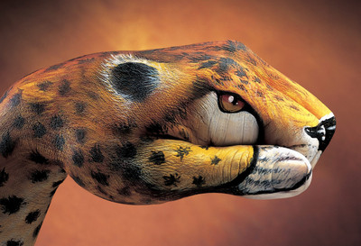 

Posterhouzz Animal Hand Painting Fine Art Print Poster Fine Art Print(12 inch X 18 inch, Rolled)