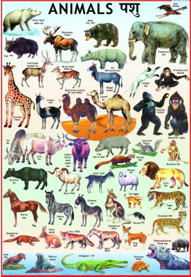 33% OFF on Animals Chart for Children Paper Print(40 inch X 28 inch,  Rolled) on Flipkart 