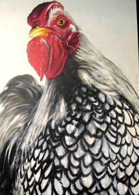 

Posterhouzz Animal Fine Art Print Poster Fine Art Print(18 inch X 12 inch, Rolled)