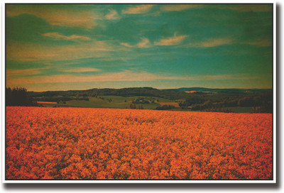 

Vintage farm view Fine Art Print(12 inch X 18 inch, Rolled)