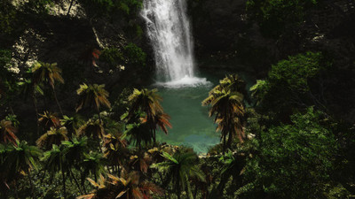 

Posterhouzz Nature Fine Art Print Poster Fine Art Print(12 inch X 18 inch, Rolled)
