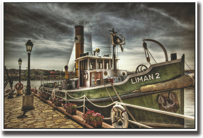 

Green docked ship Fine Art Print(12 inch X 18 inch, Rolled)