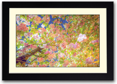 

Cherry Tree Fine Art Print(14 inch X 20 inch, Framed)