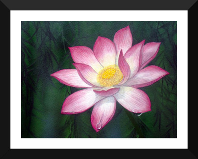 

Tallenge - Breathing Flower - Premium Quality A3 Size Framed Poster Paper Print(17 inch X 12 inch, Framed)